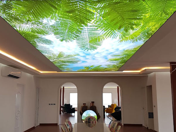 سقف باریسول چیست ؟ 12 سقف باریسول - قیمت سقف کاذب باریسول چقدر است؟