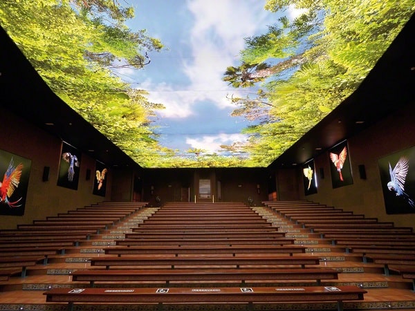 سقف کشسان چاپی - سقف کاذب کشسان چاپی چیست؟ 