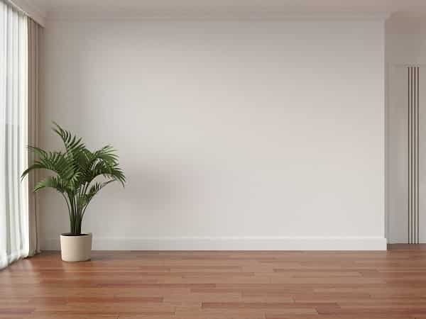 کف کاذب - کف کاذب چیست؟