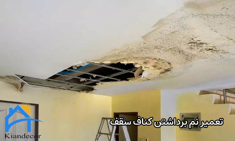 تعمیر نم برداشتن کناف سقف