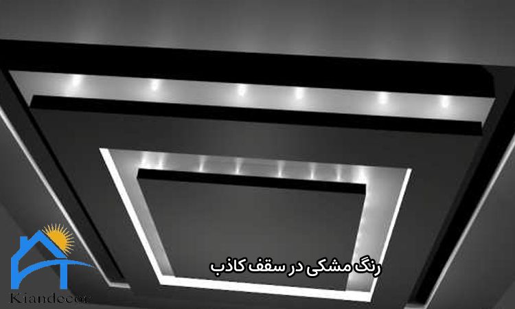 رنگ مشکی در سقف کاذب