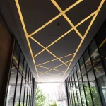 6E115576 0C7A 46A3 83EF 9AE99748888D