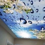 آسمان مجازی کشسان