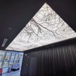 سقف کشسان برای پذیرایی