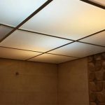 طلق سقف سرویس بهداشتی