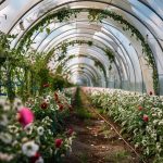 پوشش گلخانه پلی کربنات